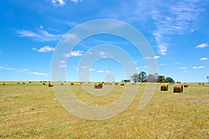 Australian rural field landscape with haystacks