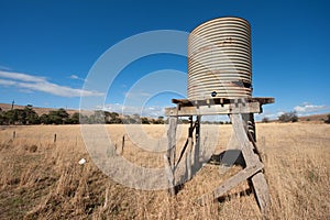 Australian rural scene