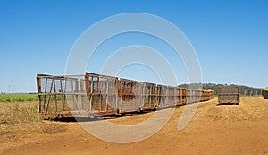 Australian Rural Scene Sugar Plantation