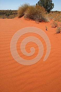 Australian sandbank