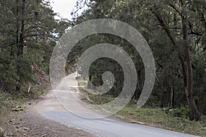 Australian sealed and unsealed country road