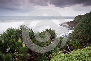 Australian seascape at twilight with native trees