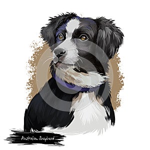 Australian Shepherd dog breed digital art illustration isolated on white. Aussie medium-sized breed of dog of black and white