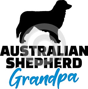 Australian Shepherd Grandpa