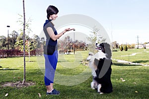 Australian Shepherd Training Park Professional Dog Handler Pet Animal