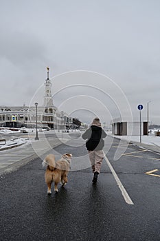 Australian Shepherd walks next to pet owner obediently, rear view. Young brunette woman walks with dog along embankment