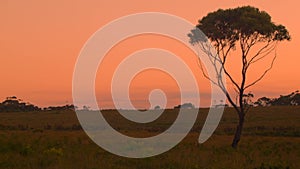 Australian Sunset Landscape Establishing Shot