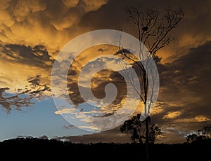 Australian sunset with stormy mammatus clouds photo