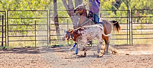 Australian Team Calf Roping At Country Rodeo