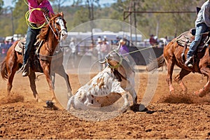 Australian Team Calf Roping Rodeo Event