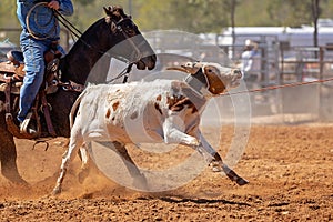 Australian Team Calf Roping Rodeo Event