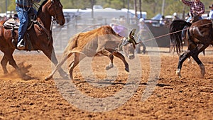 Australian Team Calf Roping Rodeo Event