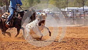 Australian Team Calf Roping Rodeo Event