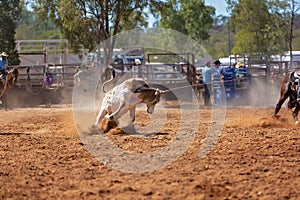 Australian Team Calf Roping Rodeo Event