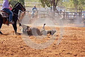 Australian Team Calf Roping Rodeo Event