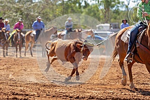 Australian Team Calf Roping Rodeo Event