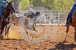 Australian Team Calf Roping Rodeo Event