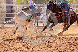 Australian Team Calf Roping Rodeo Event