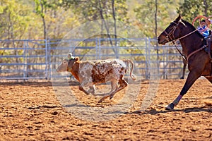 Australian Team Calf Roping Rodeo Event