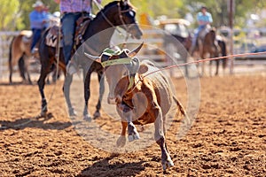 Australian Team Calf Roping Rodeo Event