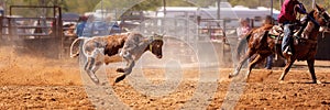 Australian Team Calf Roping Rodeo Event