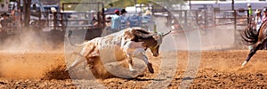 Australian Team Calf Roping Rodeo Event