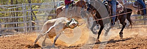 Australian Team Calf Roping Rodeo Event