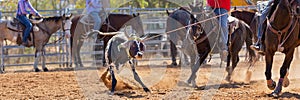 Australian Team Calf Roping Rodeo Event