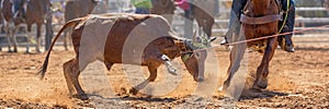 Australian Team Calf Roping Rodeo Event