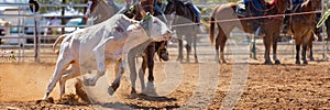 Australian Team Calf Roping Rodeo Event