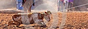 Australian Team Calf Roping Rodeo Event