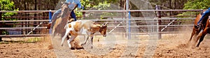 Australian Team Calf Roping Rodeo Event