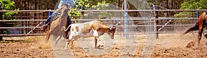 Australian Team Calf Roping Rodeo Event