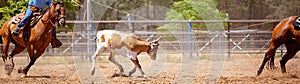 Australian Team Calf Roping Rodeo Event