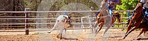 Australian Team Calf Roping Rodeo Event