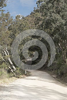 Australian unsealed country road