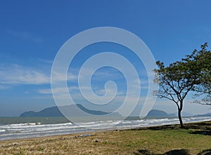 Australian or whistling pine tree on the beach, Wave splashing on the sandy beac with sea with island and blue sky