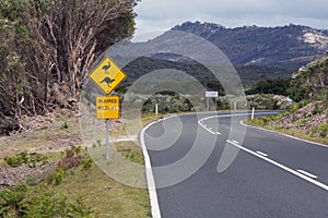 Australian wildlife road sign, road trip