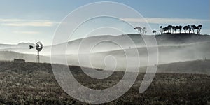 Australian windmill in fog