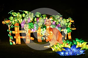 Australian Wineyard and Kangeroo Illuminated Lantern