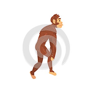 Australopithecus, Biology Human Evolution Stage, Evolutionary Process of Woman Vector Illustration