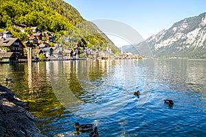Austria. The city of Hallstatt, a beautiful, tourist city on the lake among the big mountains