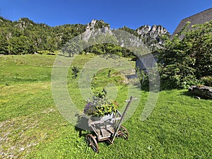 Austria, landscape in National Park Kalkalpen