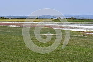 Austria, National Park Neusiedler See, Burgenland