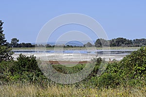 Austria, National Park Neusiedlersee