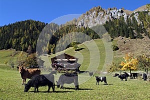 Austria, Osttirol, National Park Hohe Tauern