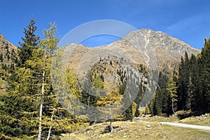 Austria, Osttirol, National Park Hohe Tauern