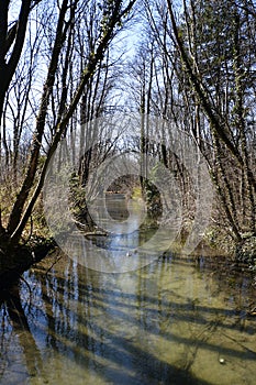 Austria, Pottendorf, marshland