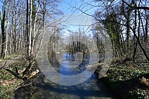 Austria, Pottendorf, marshland