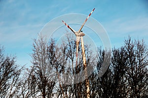 Austria, road to Vienna from Bratislava - 01.14.2024: Wind farm park next to a road in Austria in sunny weather